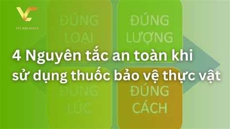 4 Nguyên Tắc An Toàn Khi Sử Dụng Thuốc Bảo Vệ Thực Vật