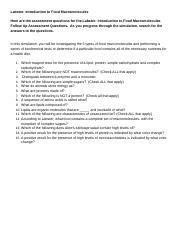 Labster Introduction To Food Macromolecules Answer Key