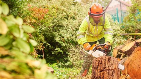 Chainsaw Cutting Down Trees Games For Games