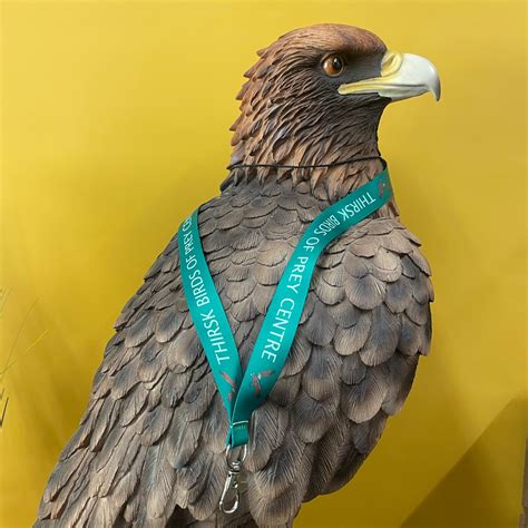 TBOPC Lanyard Thirsk Birds Of Prey Centre