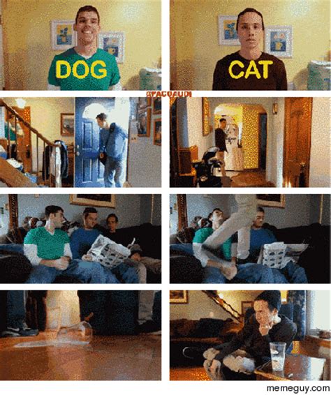 Cats vs Dogs - Meme Guy