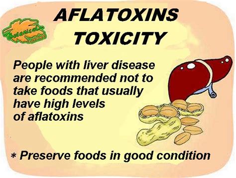 Aflatoxins Toxicity Botanical Online