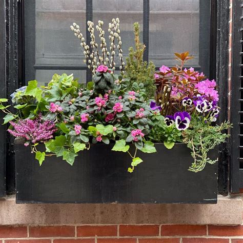 Meilleures Fleurs Pour Les Jardini Res L Ombre Jardin De Grand Meres