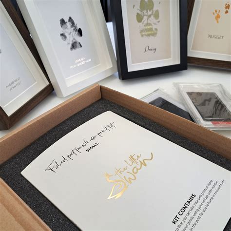 A5 Pet paw Mini pet paw prints