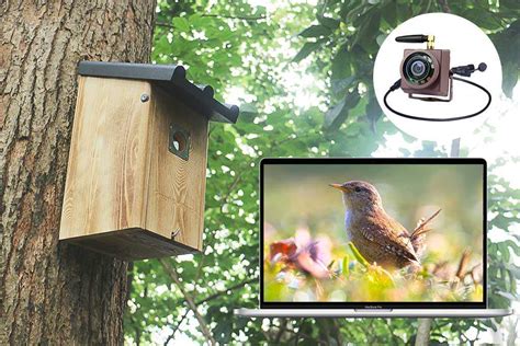 free app for your birdhouse camera - Green Backyard