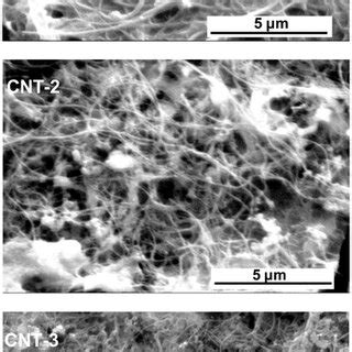 Morphological characterization: representative scanning electron ... 