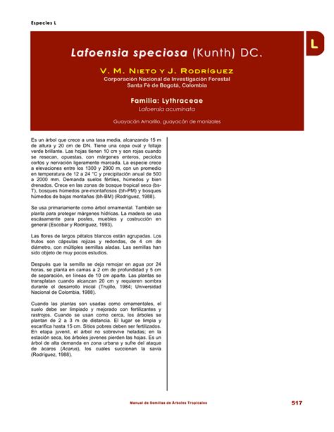 Lafoensia Speciosa Kunth DC