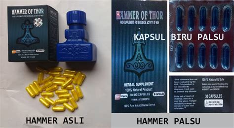 Hammer Of Thor Asli