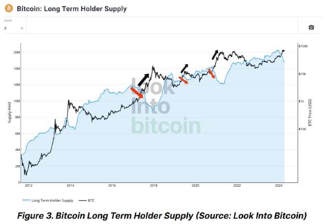 Bitfinex 分析師比特幣持有者行為與 2020 年 12 月情況類似預示潛在成長階段 桑幣區識 Zombit