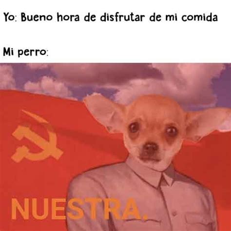 Pin On Memes De Tenemos Bugs Bunny Comunista