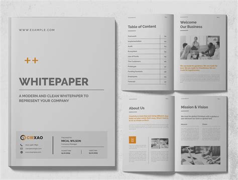 11 Best Indesign White Paper Templates Designercandies