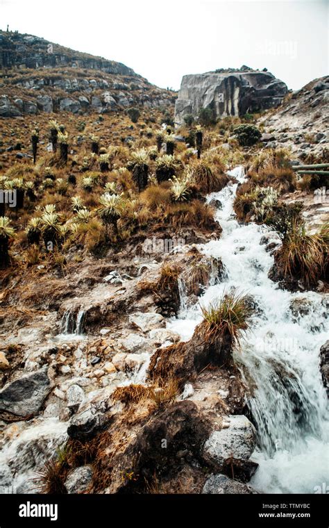 Mountain river in valley Stock Photo - Alamy