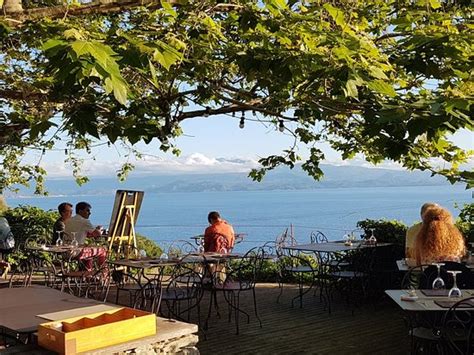 L Auberge Du Chat Qui P Che Canari Restaurant Avis Num Ro De