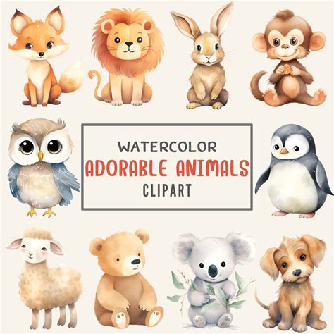 Adorable Animals Clipart, Watercolor Animals, Baby Shower Clipart, Cute ...