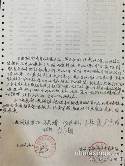 2023年天南铜都（青年棚）第三关410公里执裁文件 天南铜都赛鸽中心青年棚 中信网各地公棚