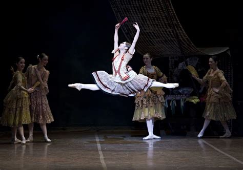 Ballet- Don Quixote | Don quixote, Ballet, Dance life