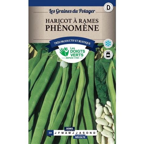 Semences Haricot à rames phénomène 200 gr Les Doigts Verts