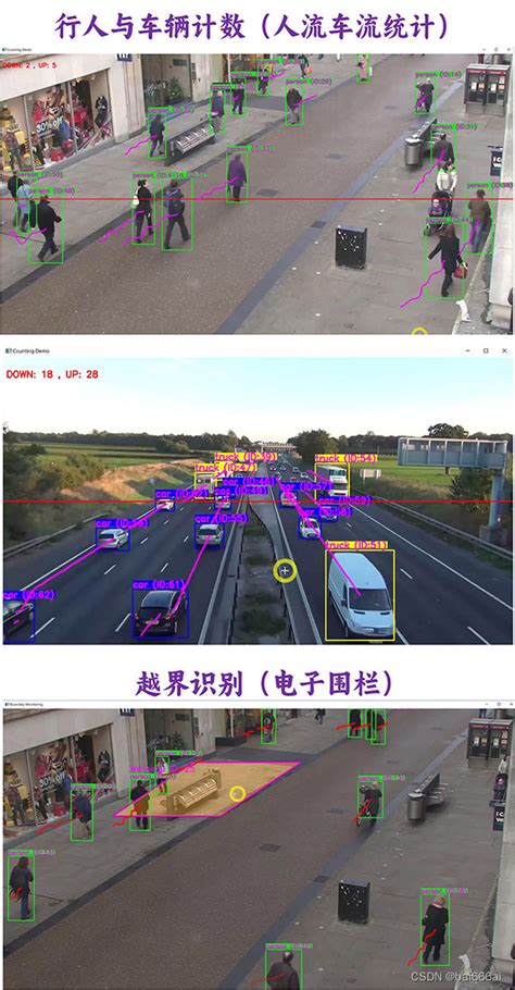 YOLOv8 SORT多目标跟踪 行人车辆计数与越界识别 CSDN博客