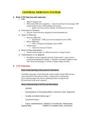 Pharm Exam 2 Study Guide 11393 Docx CENTRAL NERVOUS SYSTEM Basic CNS