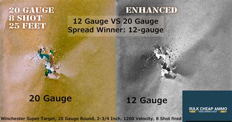 12 Gauge vs 20 Gauge: Power, Range, Size & cost comparison.