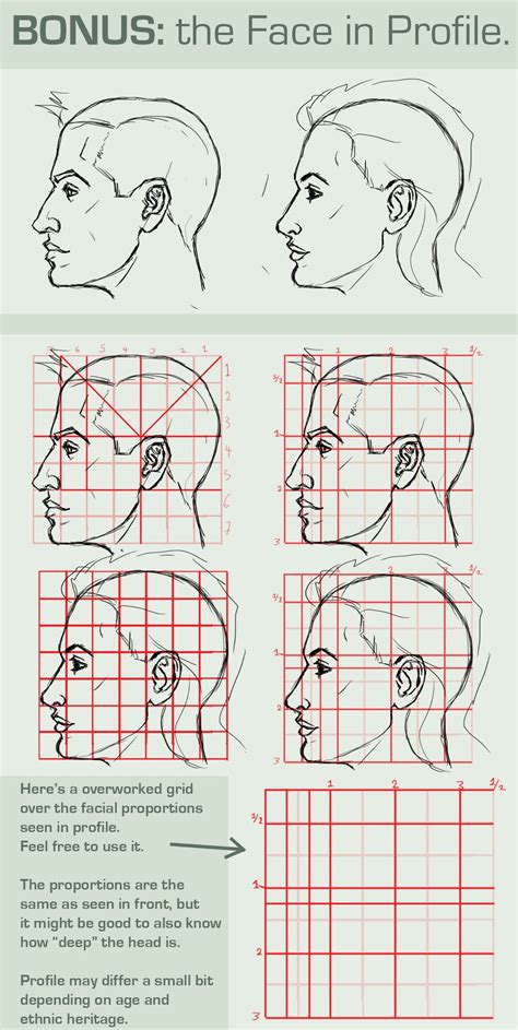 3 4 View Face Reference ~ Face Proportions From And Side View | Hostrisost