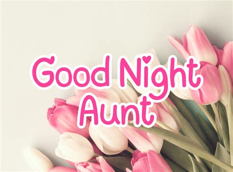 245 Lovely Good Night Wishes And Messages For Aunt