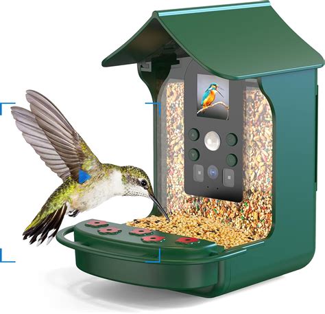 Smart Bird Feeder Camera Hummingbird Watching Camera With Motion