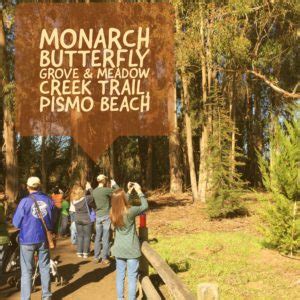 Review: Monarch Butterfly Grove with Kids in Pismo Beach, California.