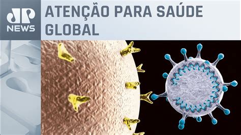 Onu Alerta Para Risco Elevado De Novas Epidemias Youtube