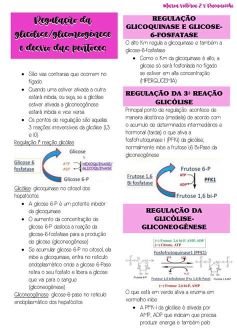 Regulação Da Glicolise Gliconeogenese E Desvio Das Pentoses Regulação