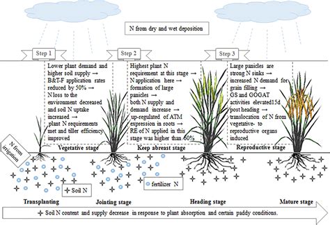 Frontiers Environmental Compensation Effect And Synergistic Mechanism