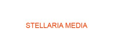 STELLARIA Homeopathic Medicine Uses Symptoms Treatment Materia