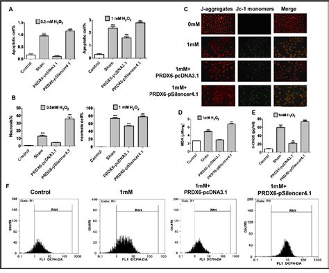 Figure From Prdx Protects Arpe Cells From Oxidative Damage Via