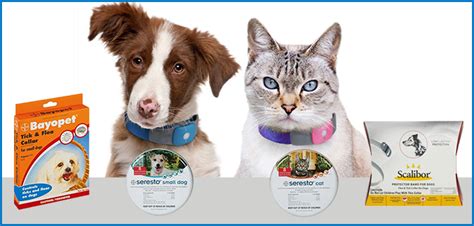 A Quick Fix Cure For Pets - Flea And Tick Collars