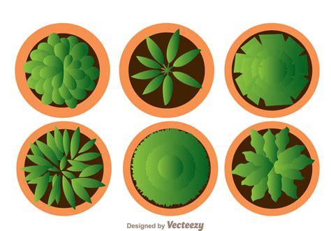 Plant On Pot Top View 99373 Vector Art at Vecteezy