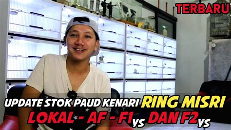 HANYA DISINI Stok Terbaru Paud Ring Misri Tips Kenari Tidak Mau