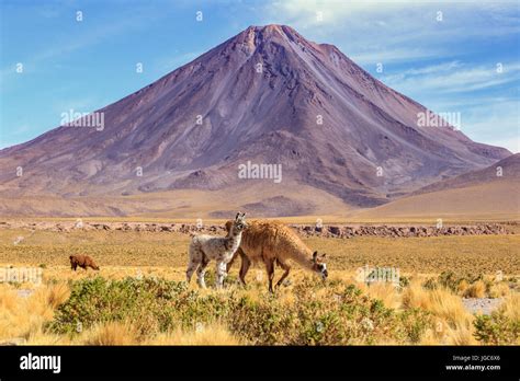 Licancabur Volcano Border Bolivia And Chile Atacama Desert South