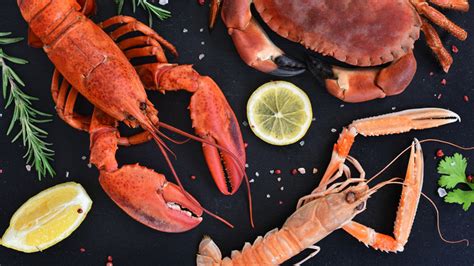 16 Types Of Lobster Explained, 40% OFF | www.elevate.in