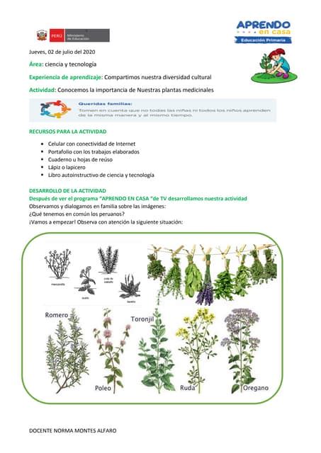 Actividad De Aprendizaje Plantas Medicinales Norma Montes Pdf