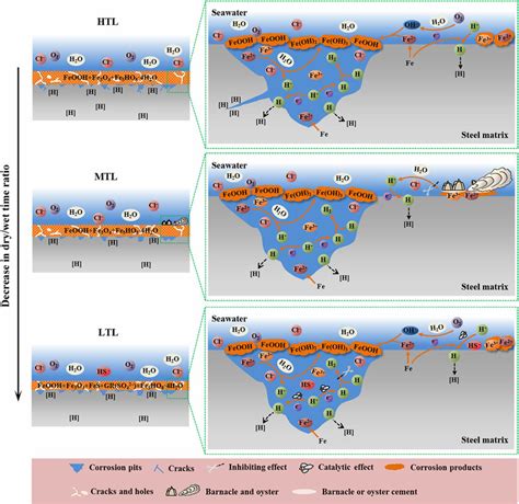 Schematics Of The Corrosion Hydrogen Permeation And Scc Behaviours Of