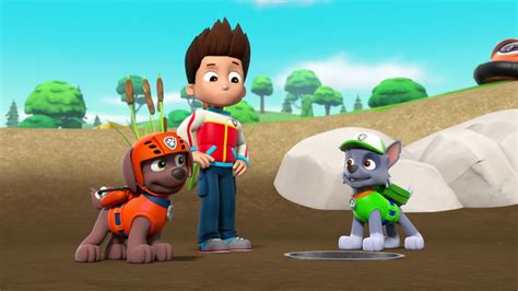 Watch Paw Patrol Season 5 Episode 22 Pups Save A Duck Pond Watch Full Episode Online Hd On