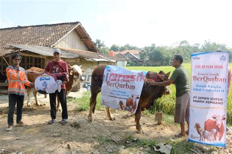 Libatkan Peternak Lokal Sekitar Perusahaan Di Momen Idul Adha H