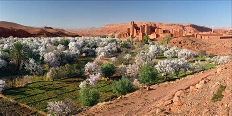 Voyage Famille Maroc De Marrakech Aux Casbahs De L Atlas