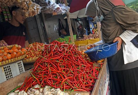 Harga Sayur Mayur Melonjak Naik Antara Foto