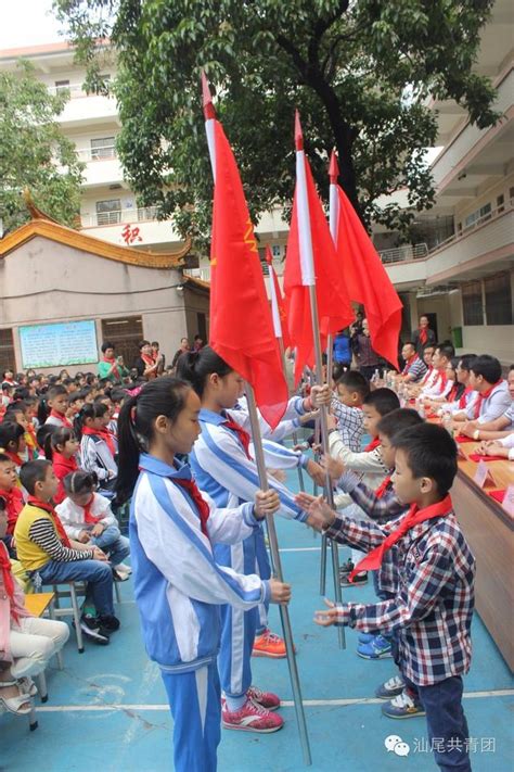 汕尾陸豐市東海鎮中心小學舉行 「紅領巾心向黨，紅色精神我傳承」 主題隊日活動 每日頭條