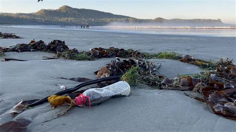 We See The Garbage Tofino Wants To Ban Single Use Plastic Bottled Water