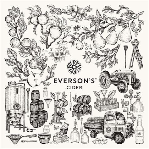 SHAUN HILL // ILLUSTRATION & DESIGN - Everson's Cider