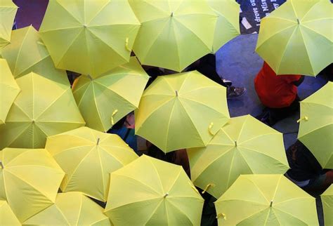 Premium Photo Yellow Umbrellas