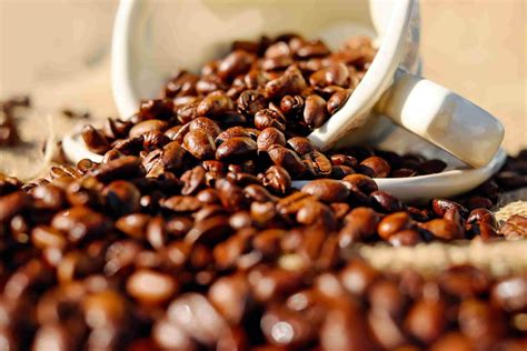 chinas coffee market  reached  full potential