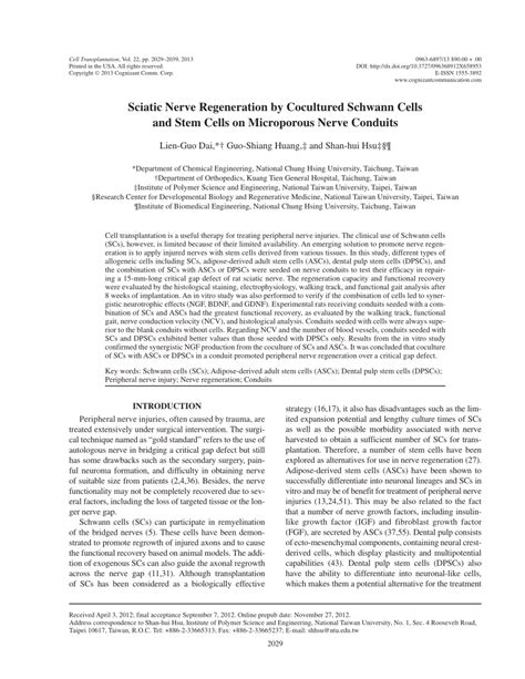 (PDF) Sciatic Nerve Regeneration by Co-Cultured Schwann Cells and Stem ...